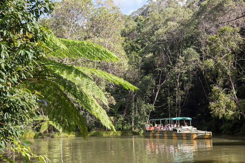 Best Of Kuranda Including Skyrail, Kuranda Scenic Railway And Rainforestation - Accommodation Australia 5