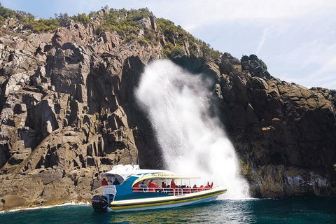 Full-Day Bruny Island Cruises Day Tour From Hobart - Local Tourism 4