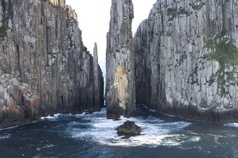 Tasman Island Cruises And Port Arthur Historic Site Day Tour From Hobart - Bed n Breakfasts 2