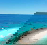 Ocean Safari Great Barrier Reef Experience in Cape Tribulation - Local Tourism