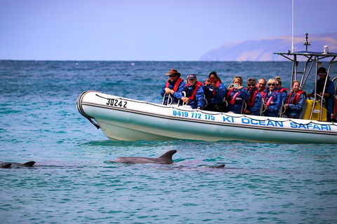 Kangaroo Island 75-Minute Ocean Safari - Accommodation Australia 4