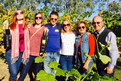 Wine Tasting Day Trip And Swan Valley River Cruise To Perth - Local Tourism 2