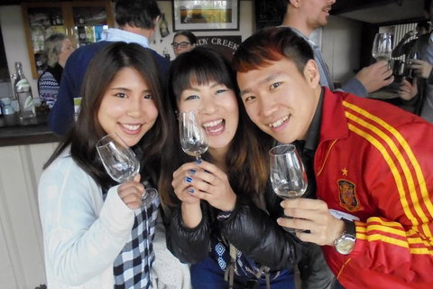 Wine Tasting Day Trip And Swan Valley River Cruise To Perth - Local Tourism 3