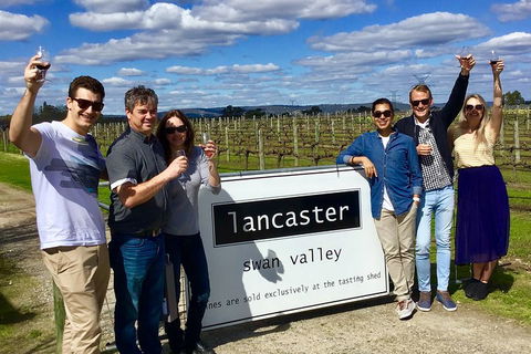 Swan Valley Tour From Perth: Wine, Beer And Chocolate Tastings - Accommodation Australia 1