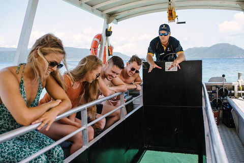 Fitzroy Island Day Trip From Cairns - Local Tourism 4