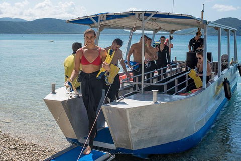Fitzroy Island Day Trip From Cairns - Local Tourism 5
