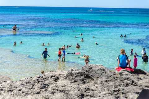 Rottnest Island Roundtrip Fast Ferry From Hillarys Boat Harbour - Accommodation Australia 1