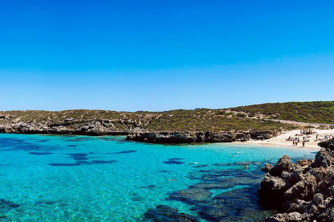Rottnest Island Roundtrip Fast Ferry From Hillarys Boat Harbour - Accommodation Australia 4
