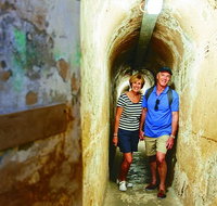 Rottnest Island Full-Day Trip With Guided Island Tour From Perth - Local Tourism