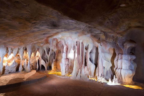 Springbrook AndTamborine Rainforest Tour Incl Natural Bridge And Glow Worm Cave - Accommodation Australia 4