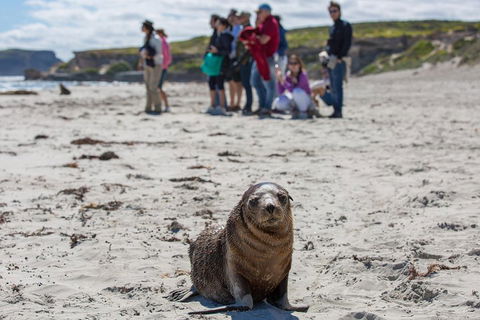 Kangaroo Island In A Day Tour From Adelaide - Local Tourism 0