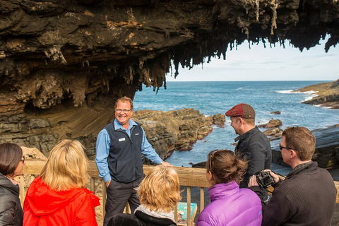Kangaroo Island In A Day Tour From Adelaide - Local Tourism 3