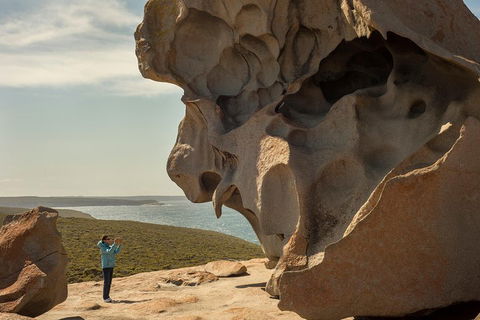 Kangaroo Island In A Day Tour From Adelaide - Local Tourism 5