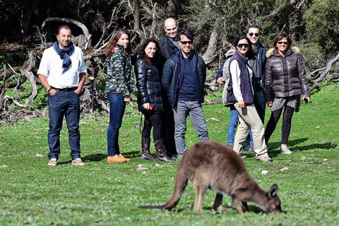2-Day Kangaroo Island 4WD Small-Group Tour From Adelaide - Local Tourism 1