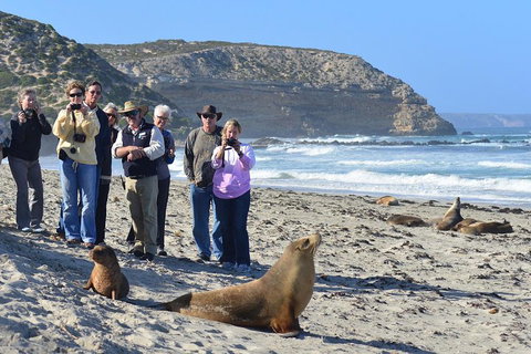 2-Day Kangaroo Island 4WD Small-Group Tour From Adelaide - Local Tourism 3