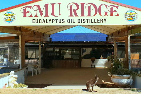 2 Day Ultimate Kangaroo Island With Return Ferry - Local Tourism 3