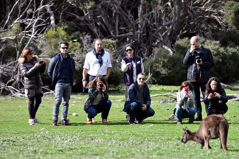 Small-Group Kangaroo Island 4WD Tour From Adelaide - Local Tourism 2