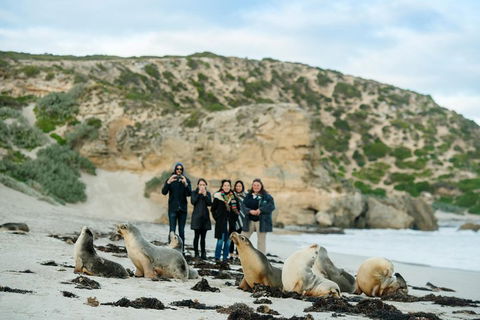 Small-Group Kangaroo Island 4WD Tour From Adelaide - Local Tourism 4