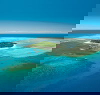 Cairns City Sights and Surrounds Tour - Local Tourism