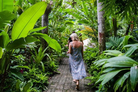 Cairns City Sights And Surrounds Tour - Bed n Breakfasts 2