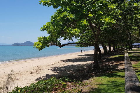 Small-Group Afternoon Cairns City Tour With Harbour Dinner Cruise - Local Tourism 1