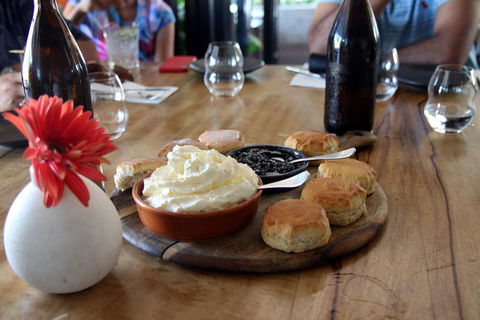 Small-Group Afternoon Cairns City Tour With Harbour Dinner Cruise - Local Tourism 3