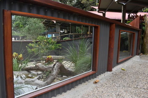 Kuranda Koala Gardens And Birdworld Admission Tickets - Accommodation Australia 4