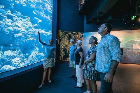 Cairns Aquarium By Twilight With 3-Course Dinner - Local Tourism 1