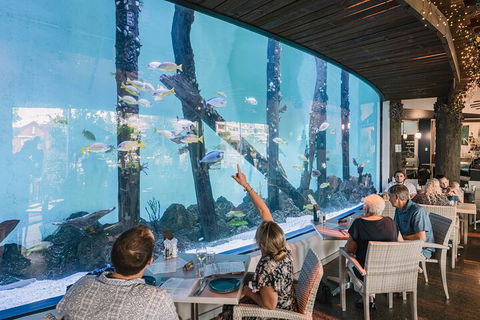 Cairns Aquarium By Twilight With 3-Course Dinner - Local Tourism 4