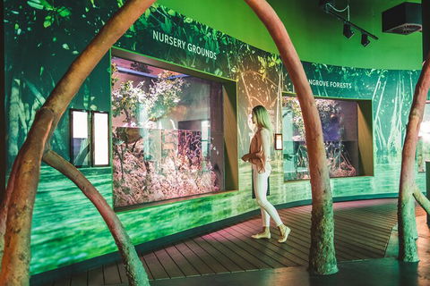 Cairns Aquarium Marine Life Encounter Ticket With 2-Course Lunch - Accommodation Australia 3