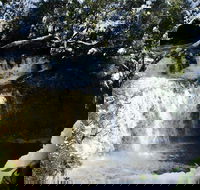 Cradle Mountain Day Tour from Launceston Including Lunch - Local Tourism
