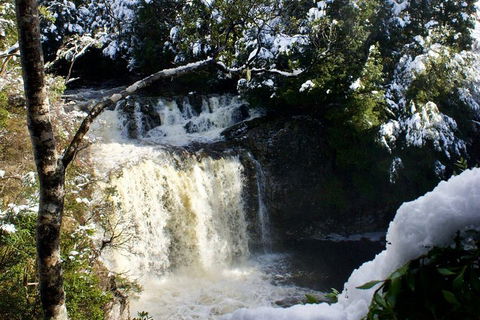 Cradle Mountain Day Tour From Launceston Including Lunch - Local Tourism 0