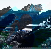 Cradle Mountain Park Explorer Guided Tour - Local Tourism