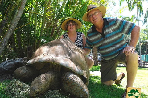 Small-Group Australia Zoo Day Trip From Brisbane - Local Tourism 1