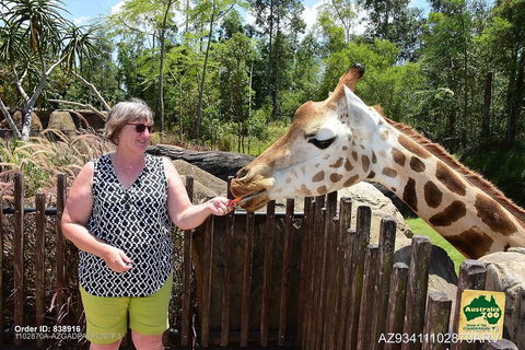 Small-Group Australia Zoo Day Trip From Brisbane - Local Tourism 2