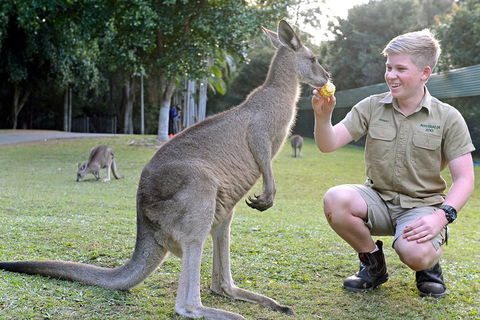 Small-Group Australia Zoo Day Trip From Brisbane - Local Tourism 4