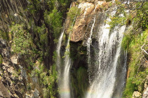 Beyond Byron Hinterland Tour - Accommodation Australia 5