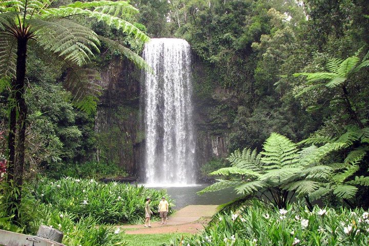  Local Tourism
