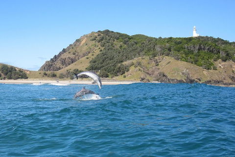 Kayaking With Dolphins In Byron Bay Guided Tour - Local Tourism 0