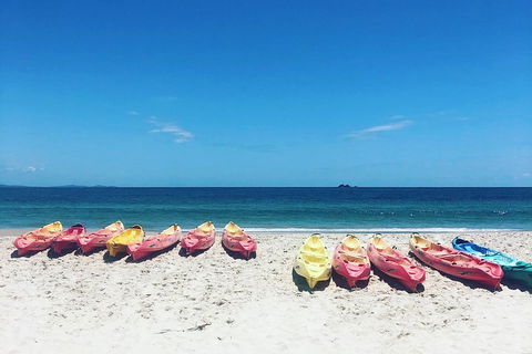 Kayaking With Dolphins In Byron Bay Guided Tour - Local Tourism 1