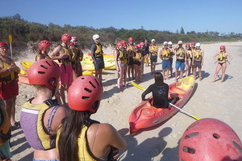 Kayaking With Dolphins In Byron Bay Guided Tour - Local Tourism 2