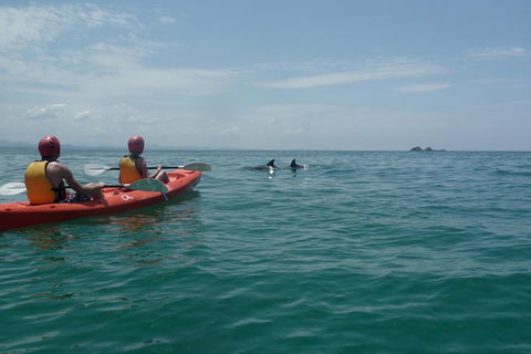 Kayaking With Dolphins In Byron Bay Guided Tour - Local Tourism 4