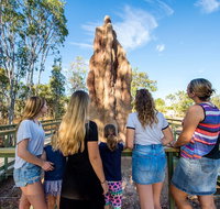 Litchfield National Park Waterfalls and Wildlife Tour from Darwin - Local Tourism