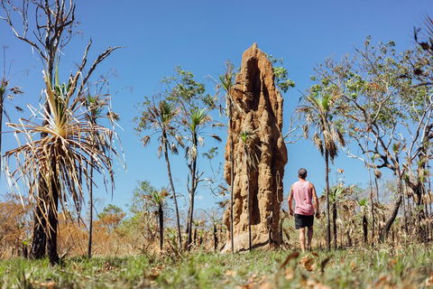 Litchfield National Park Waterfalls And Wildlife Tour From Darwin - Accommodation Australia 4