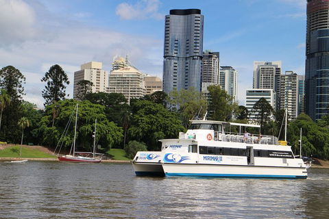Lone Pine Koala Sanctuary Admission With Brisbane River Cruise - Accommodation Australia 2