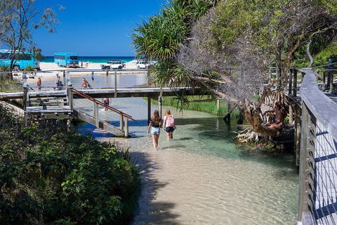 All-Inclusive Fraser Island Day Tour - Accommodation Australia 4