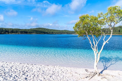 Lake McKenzie Full-Day Tour With Lunch From Hervey Bay - Accommodation Australia 1