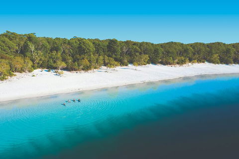 Lake McKenzie Full-Day Tour With Lunch From Hervey Bay - Accommodation Australia 4