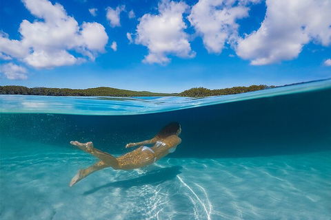 Lake McKenzie Full-Day Tour With Lunch From Hervey Bay - Accommodation Australia 5