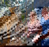 African Cat Encounter at Werribee Open Range Zoo - Local Tourism